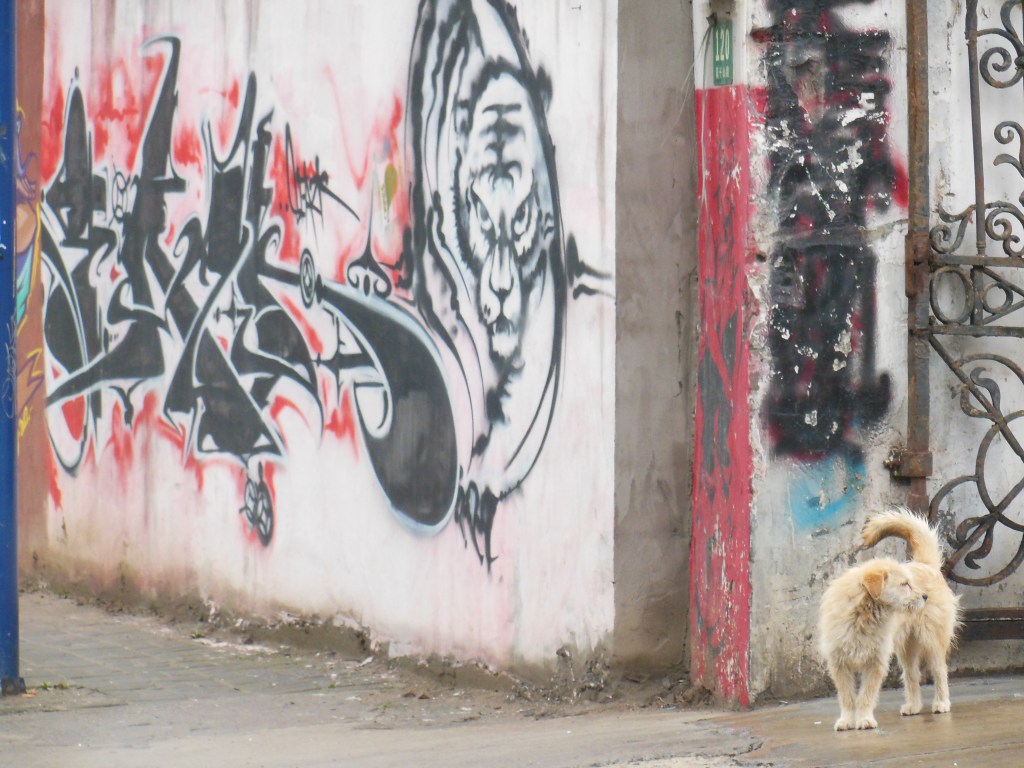 Shanghai – The M50 art district