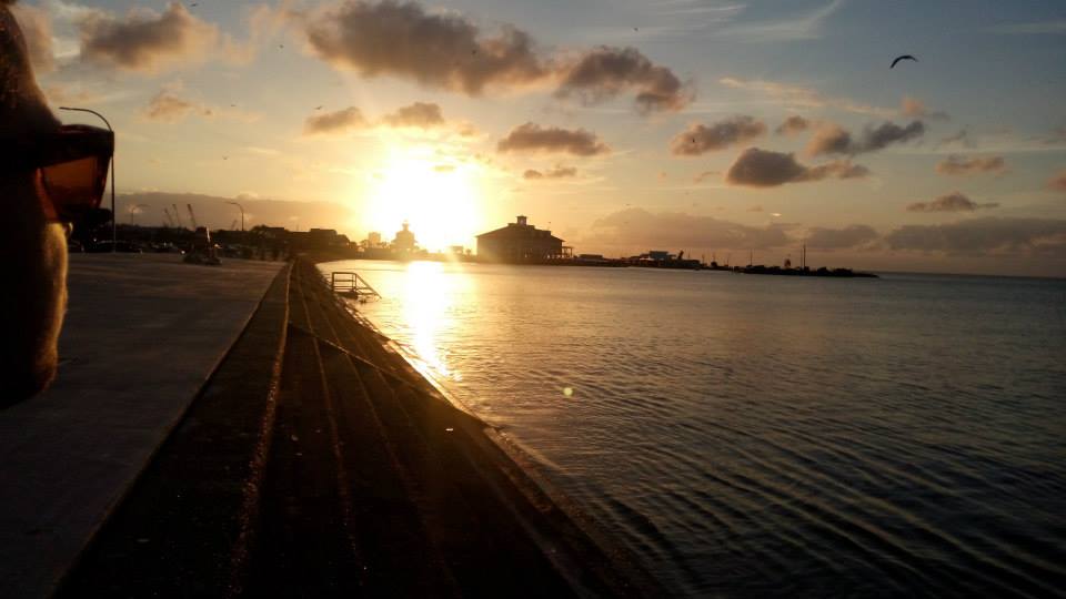 1503991_1407279769532818_2145927434_n