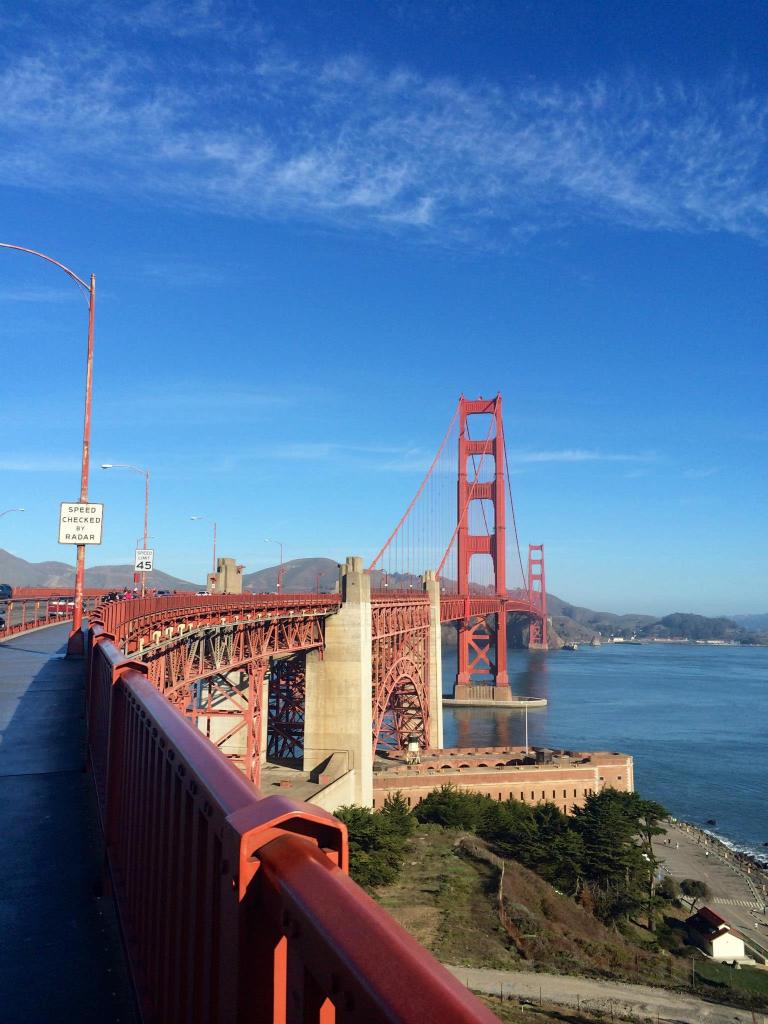 1781039_10152014772339021_1334519214_o