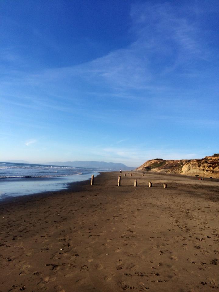 1920464_10151999832444021_247799792_n