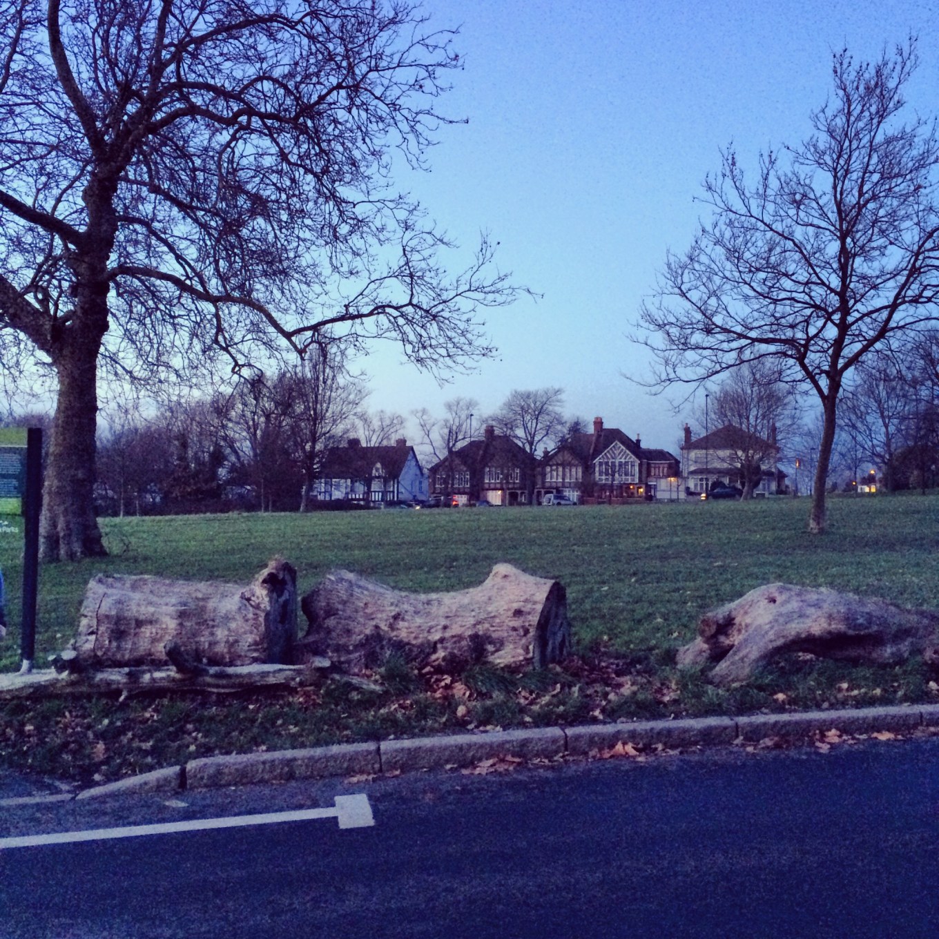 Streatham Common