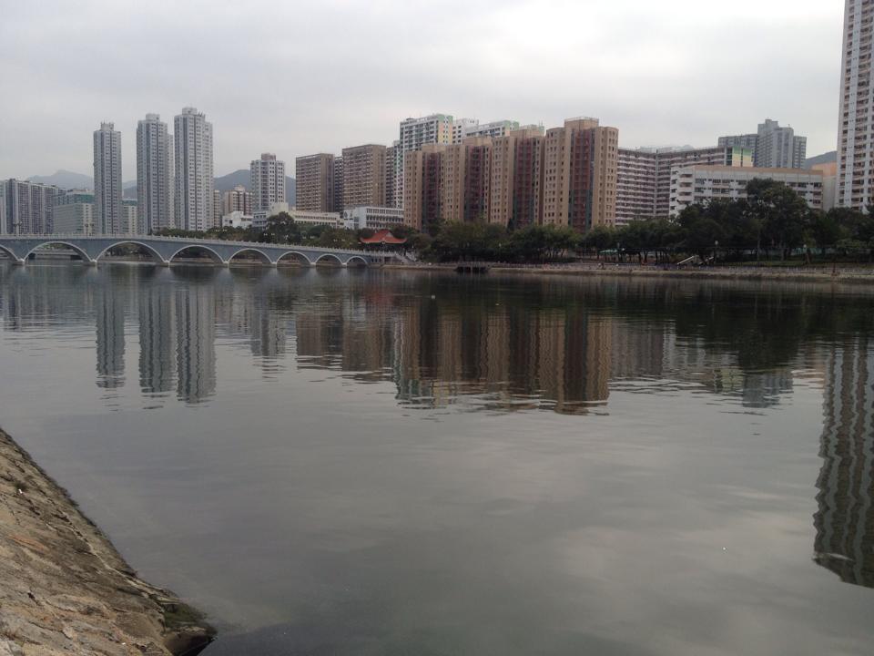 A week in Sha Tin