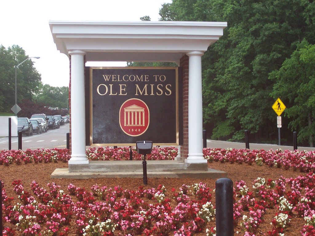 The Ole Miss Experience by Steven Filler