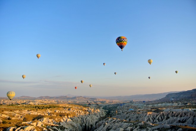 DSC_3448
