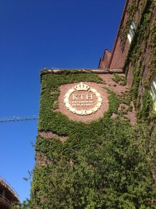IMG_1597