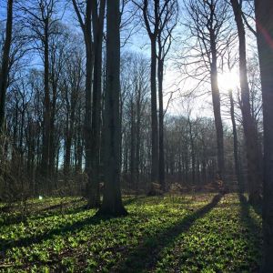 1385920_10153650377048625_5450427826053878182_n