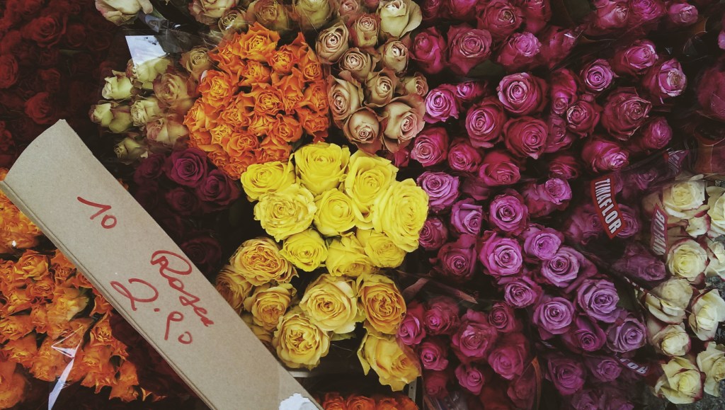 Processed with VSCOcam with m3 preset