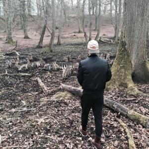 Having the worst day feeding these deer in this beautiful forest