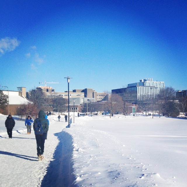 The University of Waterloo