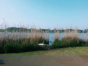 11026192_10152892803937984_4623992031482403990_n