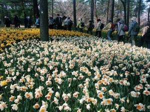 11146553_10152892808632984_4823443922573941945_n