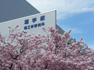 tumblr_nmdi985tSk1upzljpo1_500