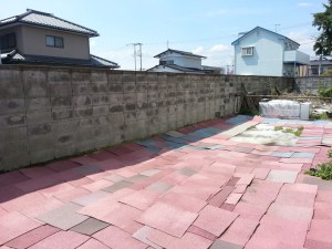 tumblr_nmu41mNNlE1upzljpo1_1280