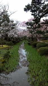 WP_20150404_08_57_24_Pro