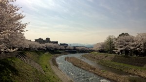 WP_20150409_09_39_52_Pro