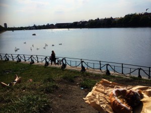 Pastires by the lake