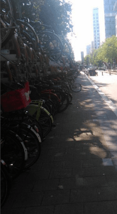 Screen Shot 2015-10-27 at 1.24.04 pm