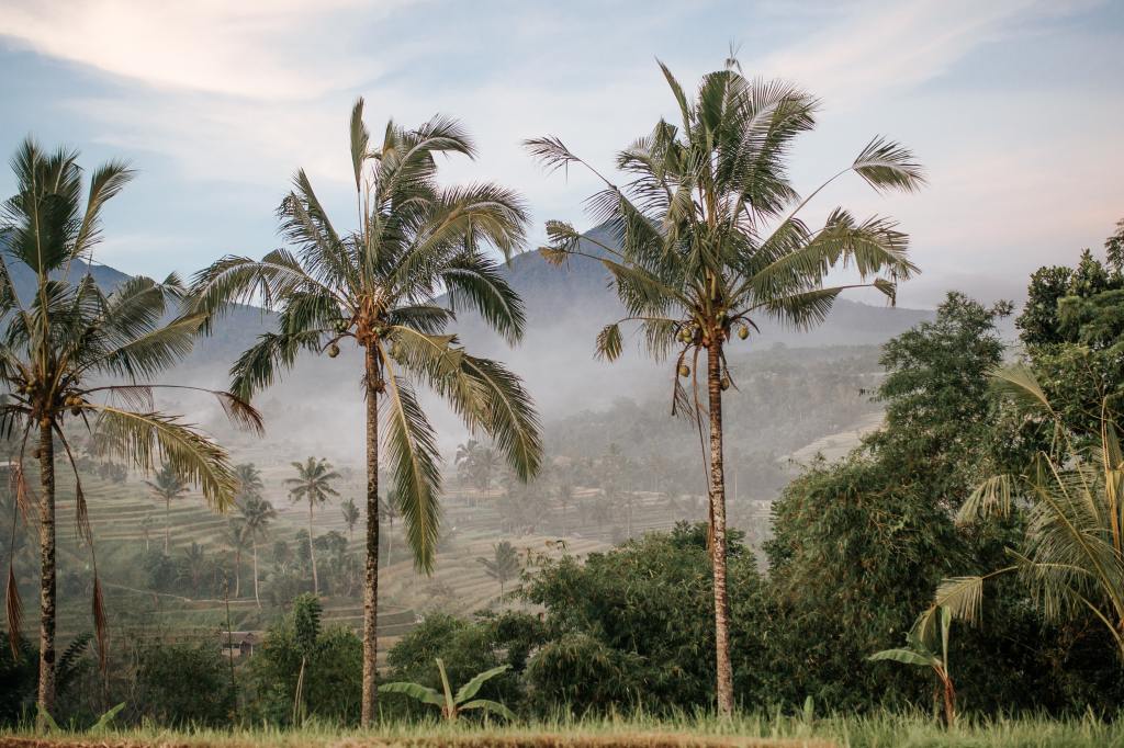 Public Health in Bali