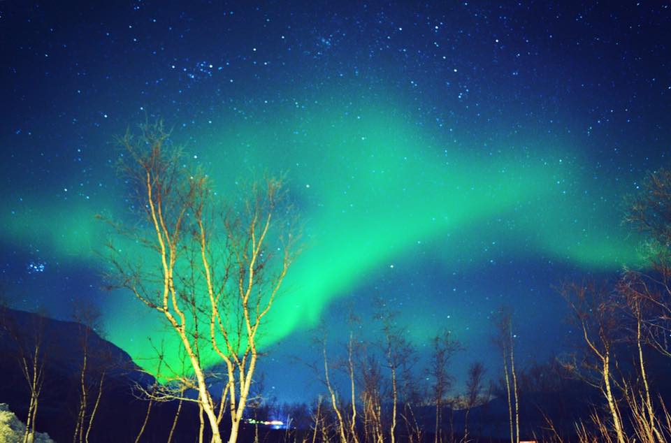 12472836_10208679520402566_8679462664679317049_n