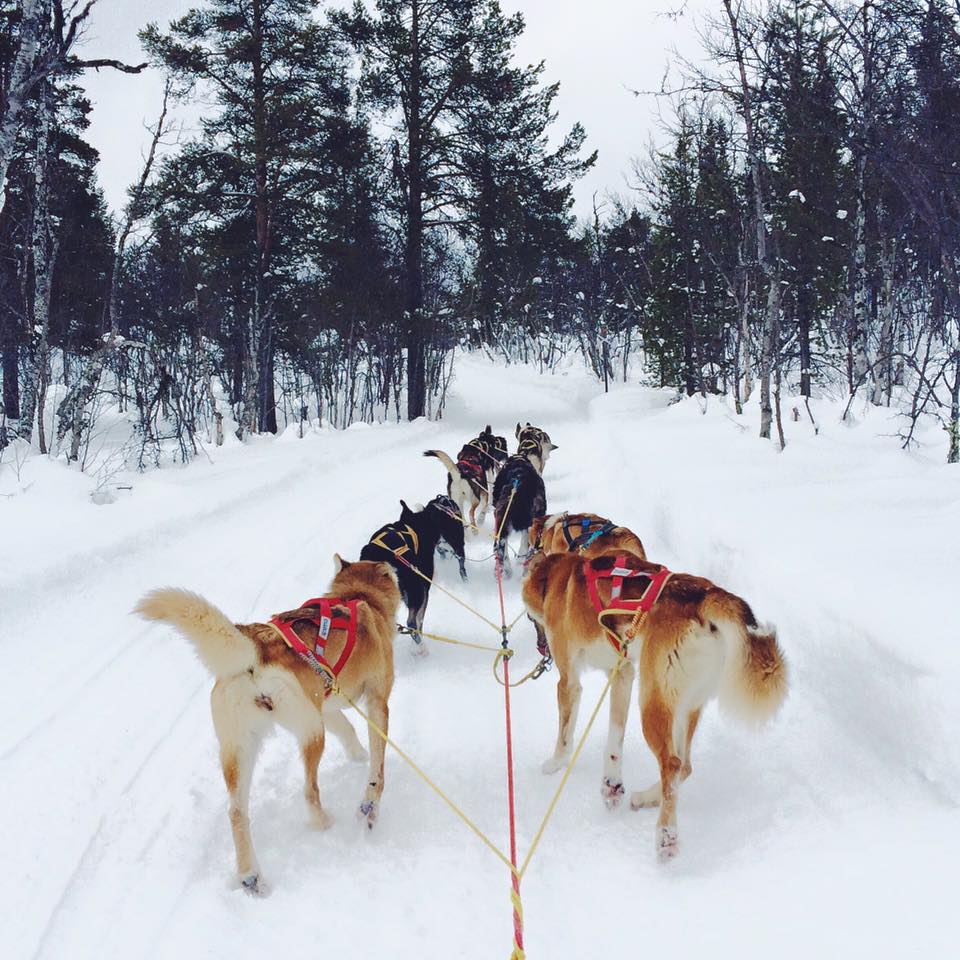 9153_10208679464361165_3094659794890161087_n