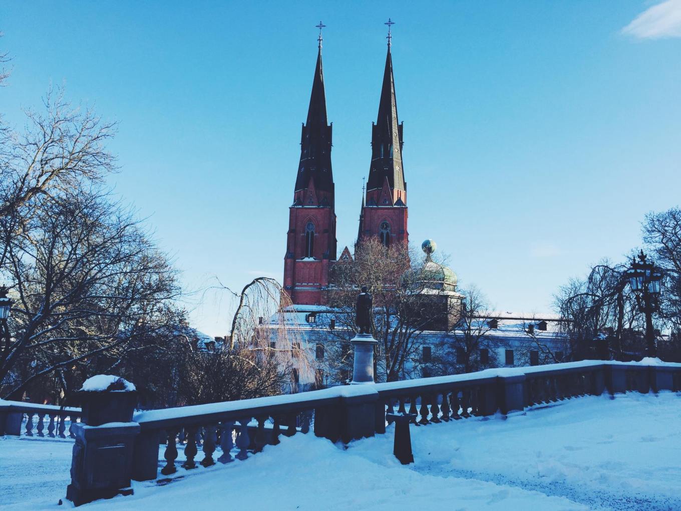 12694978_10208287880011801_546831085712420771_o