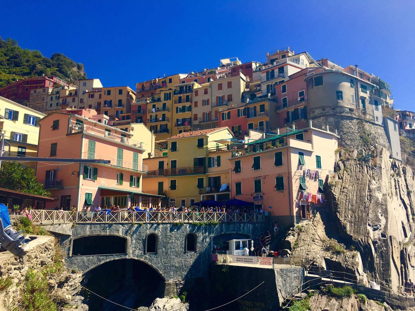 14139221_1415333378483642_968258985_o