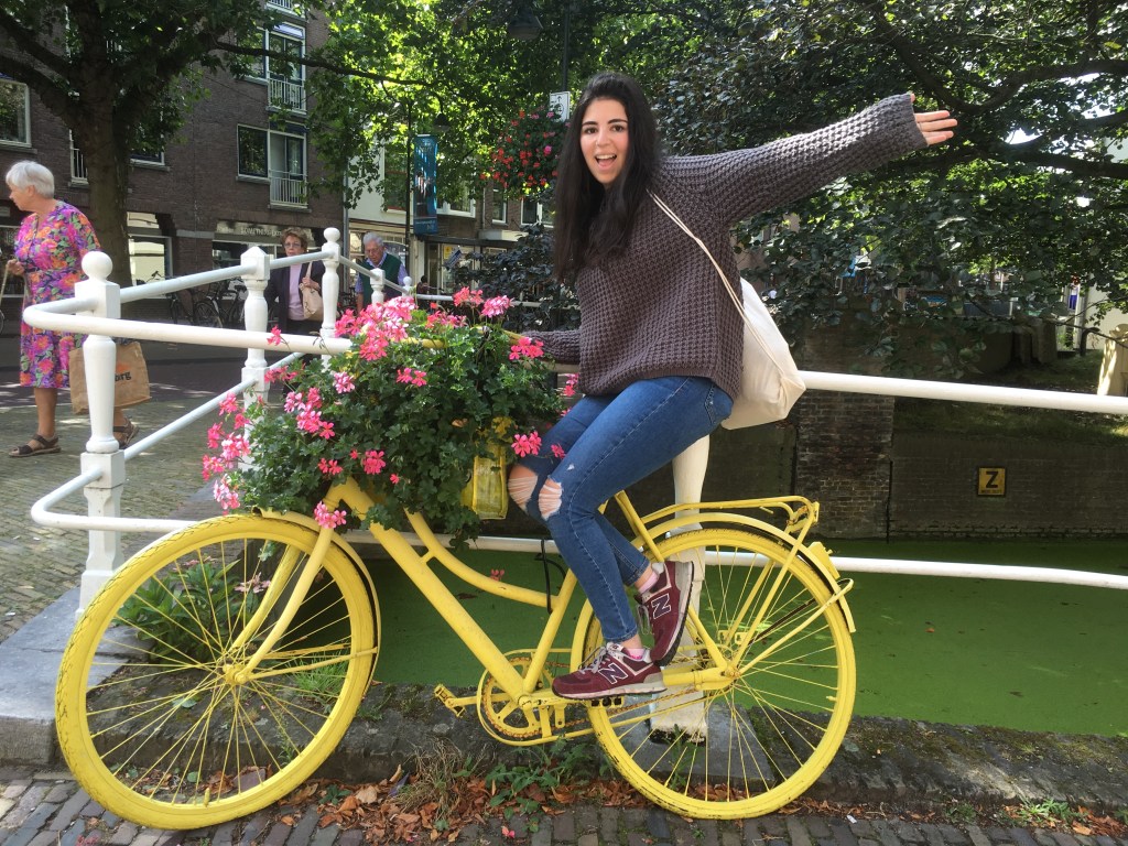 Delightful Delft