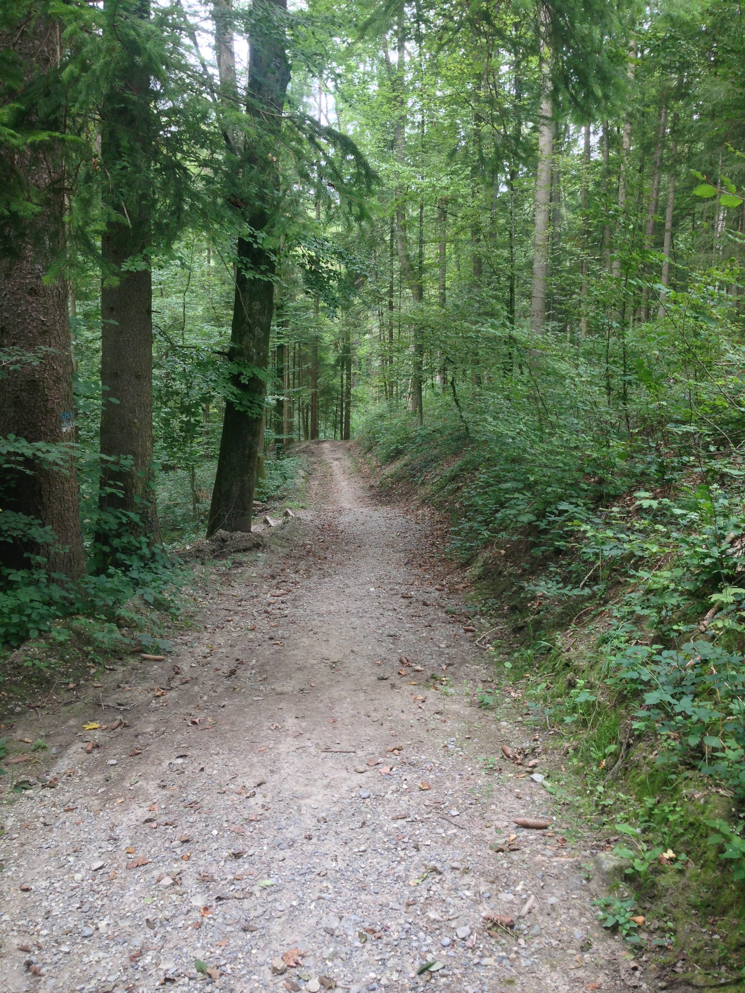 IMG_6178.jpg