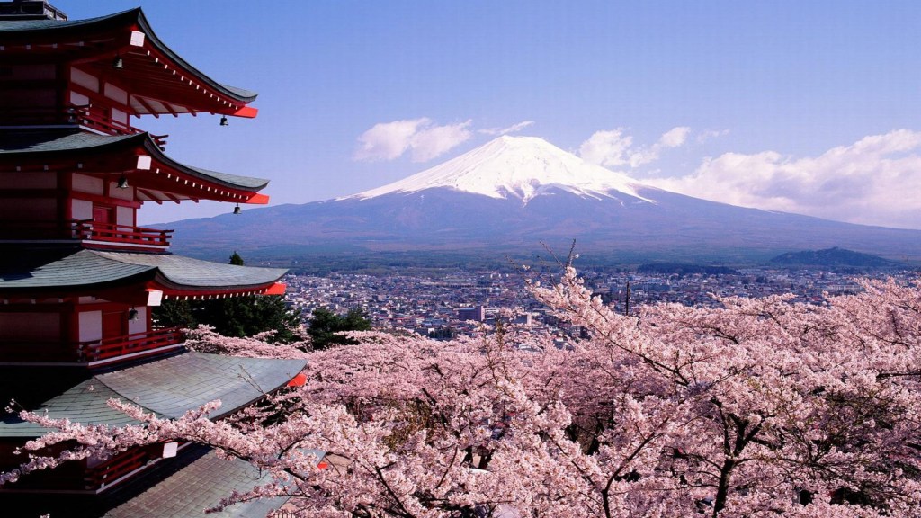 The Experience: My Journey to Japan