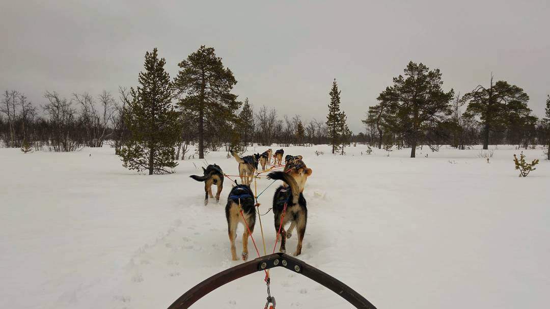 IMG_20170321_151244_279