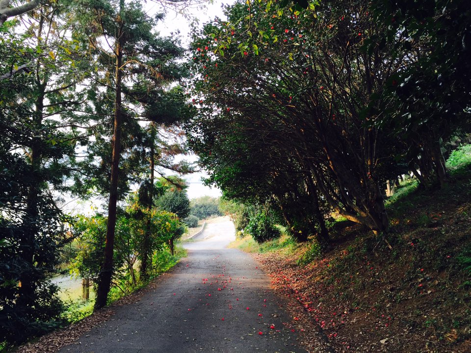 Mountain Road in Maeilbong Tongyeong