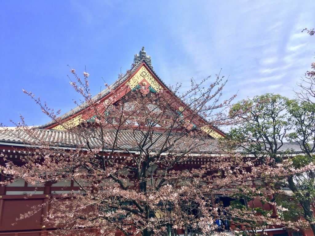 6ca40wk%Somh29NcPBwwhg_thumb_36e3