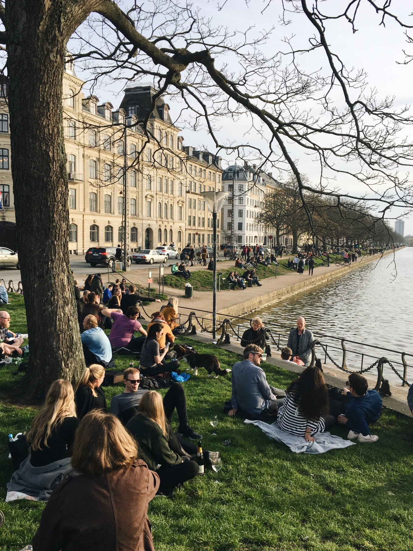 Processed with VSCO with a6 preset