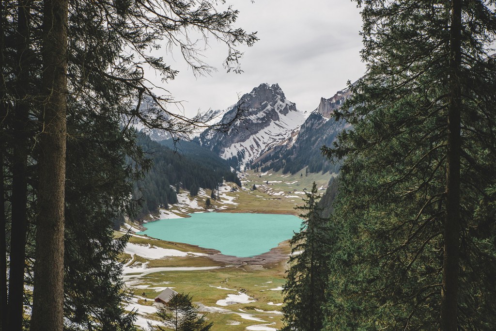 A Change in Scenery