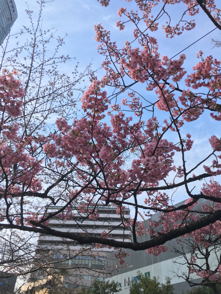 UNADJUSTEDNONRAW_thumb_36c7