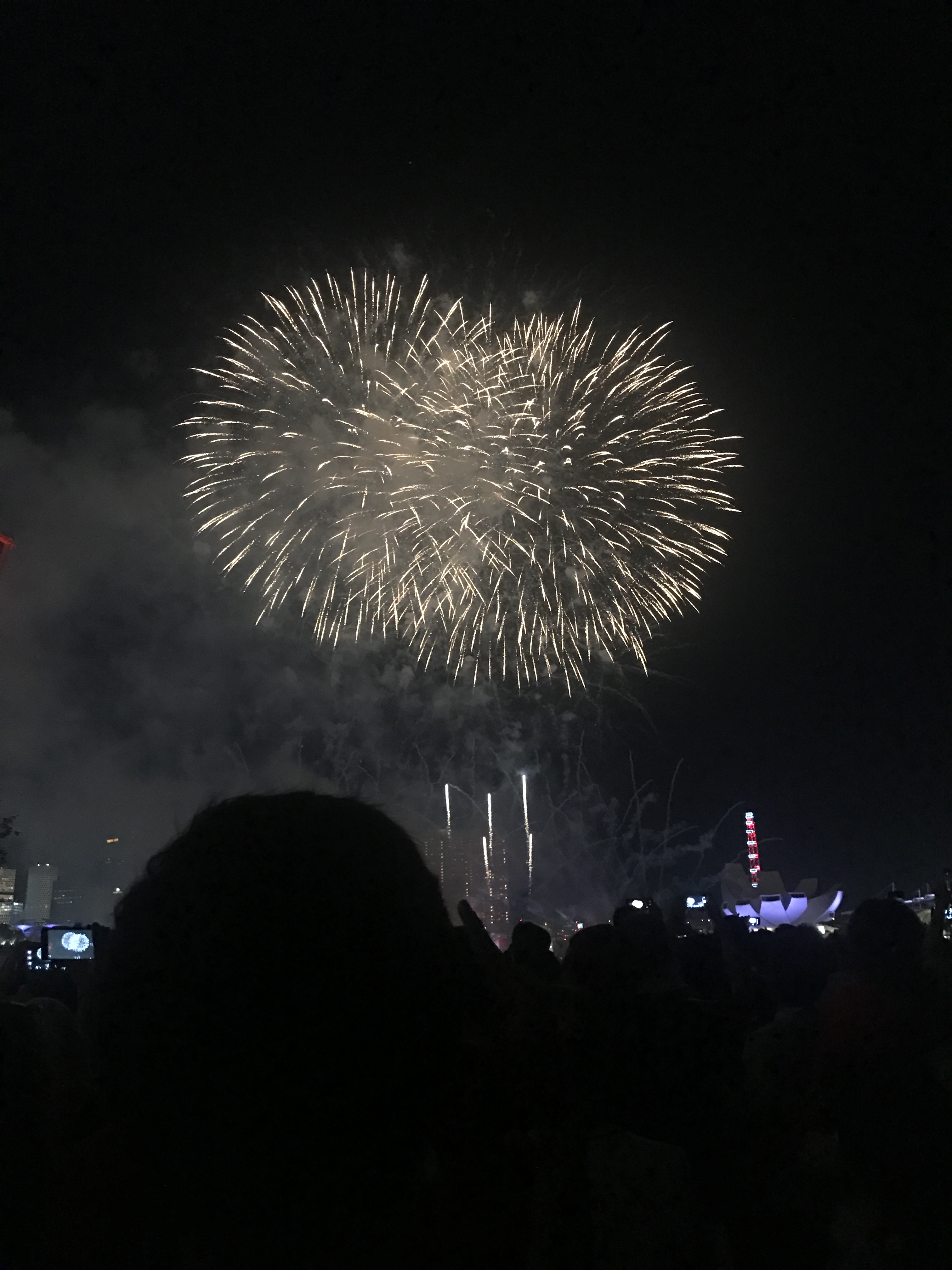 Firework