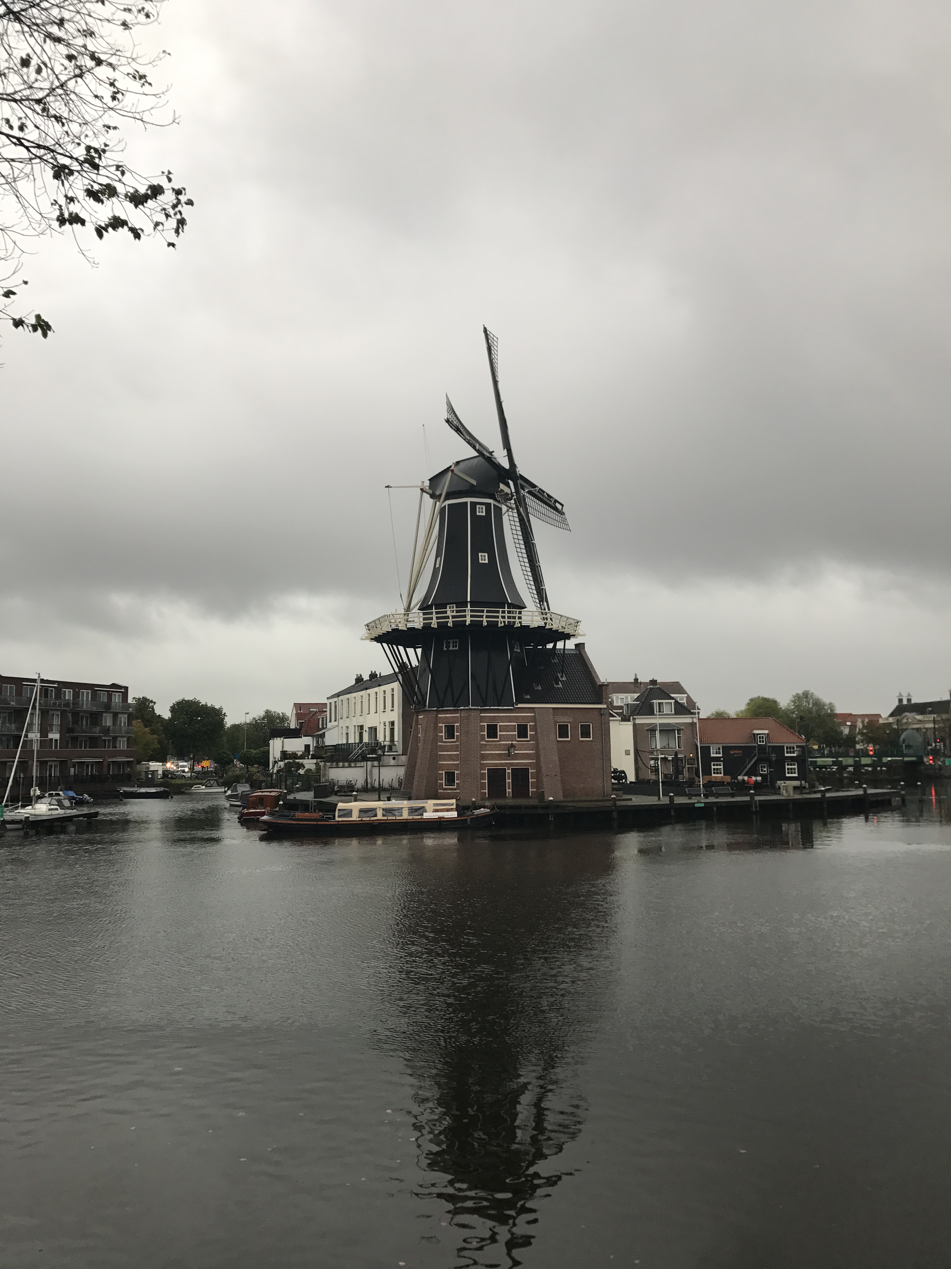 IMG_8348