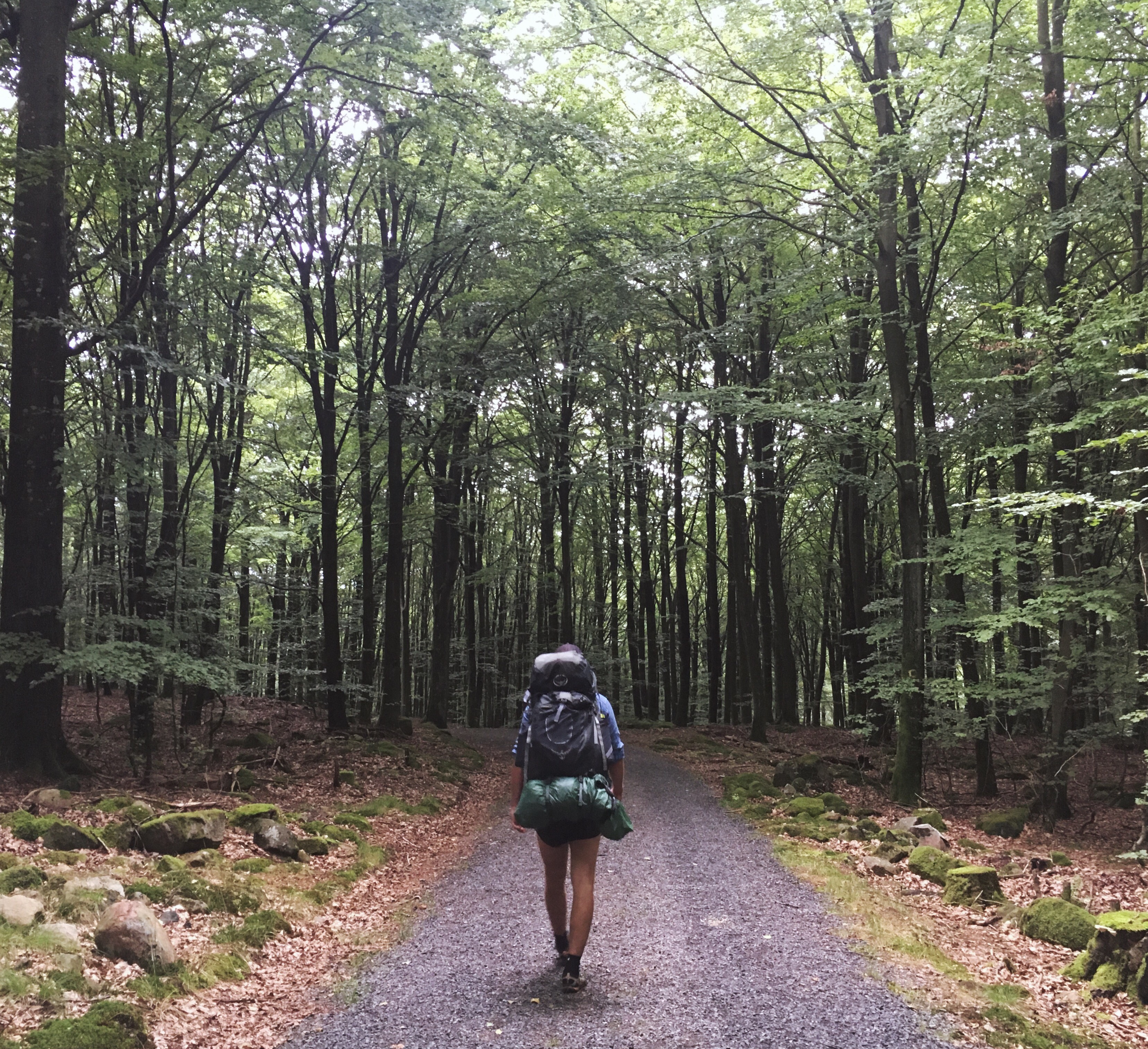 Road tripping, hiking and camping with a Swedish friend in the southern county of Skåne, Sweden