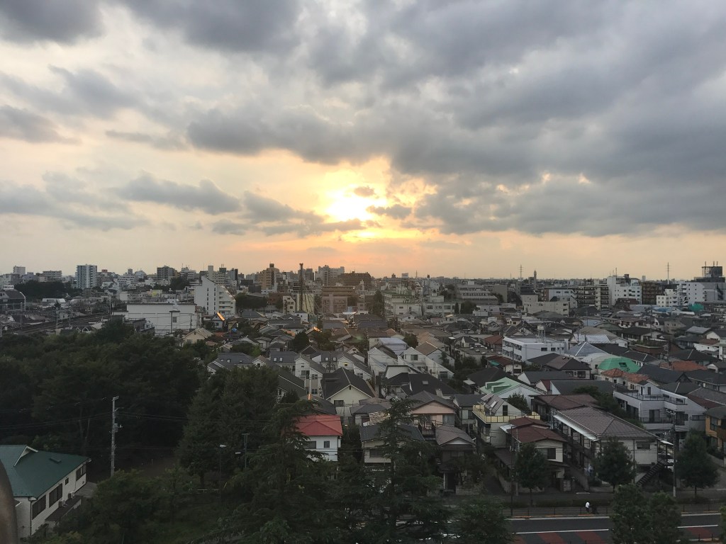 Japan in a&nbsp;nutshell