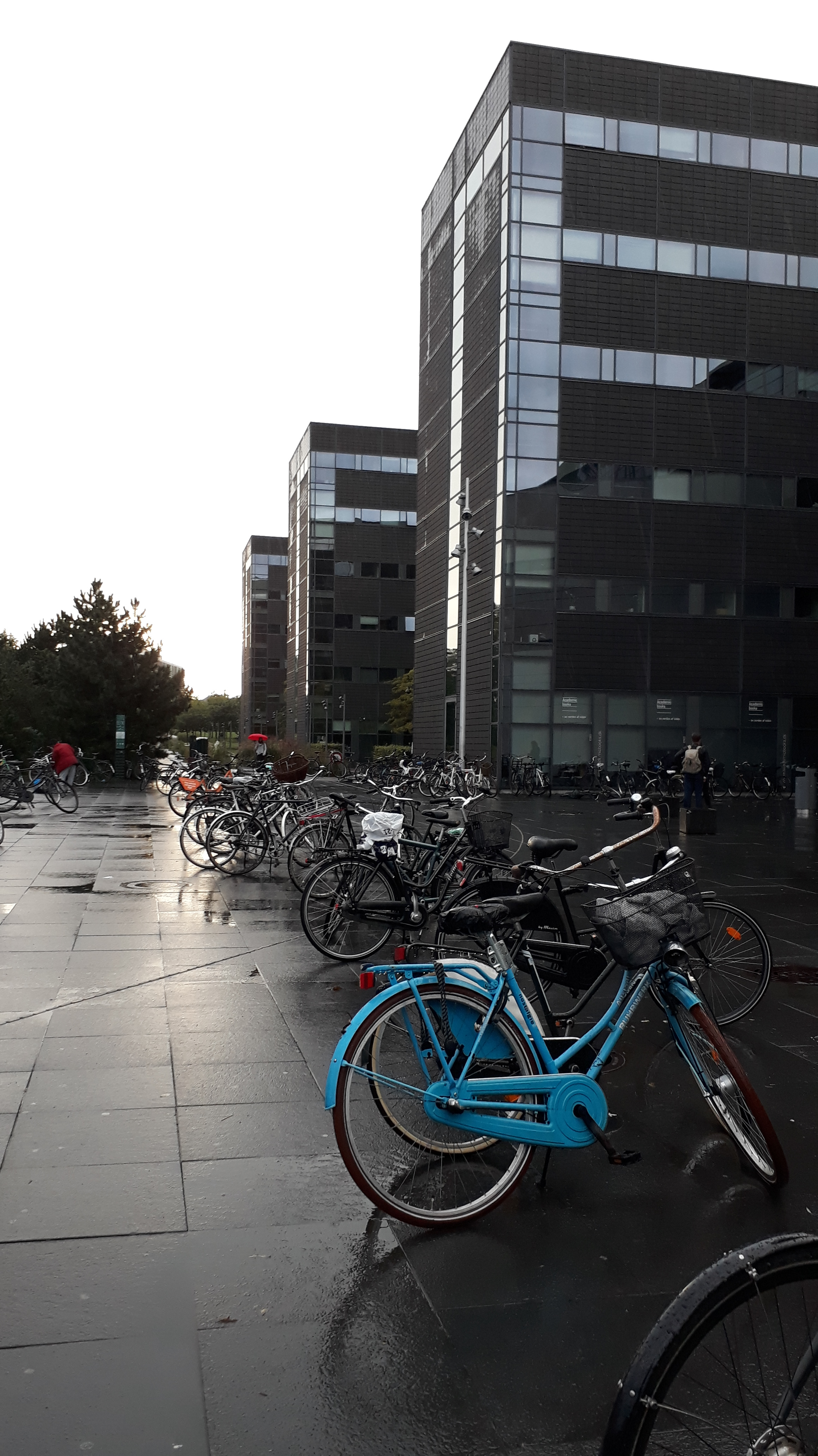 20170914_182907[1]