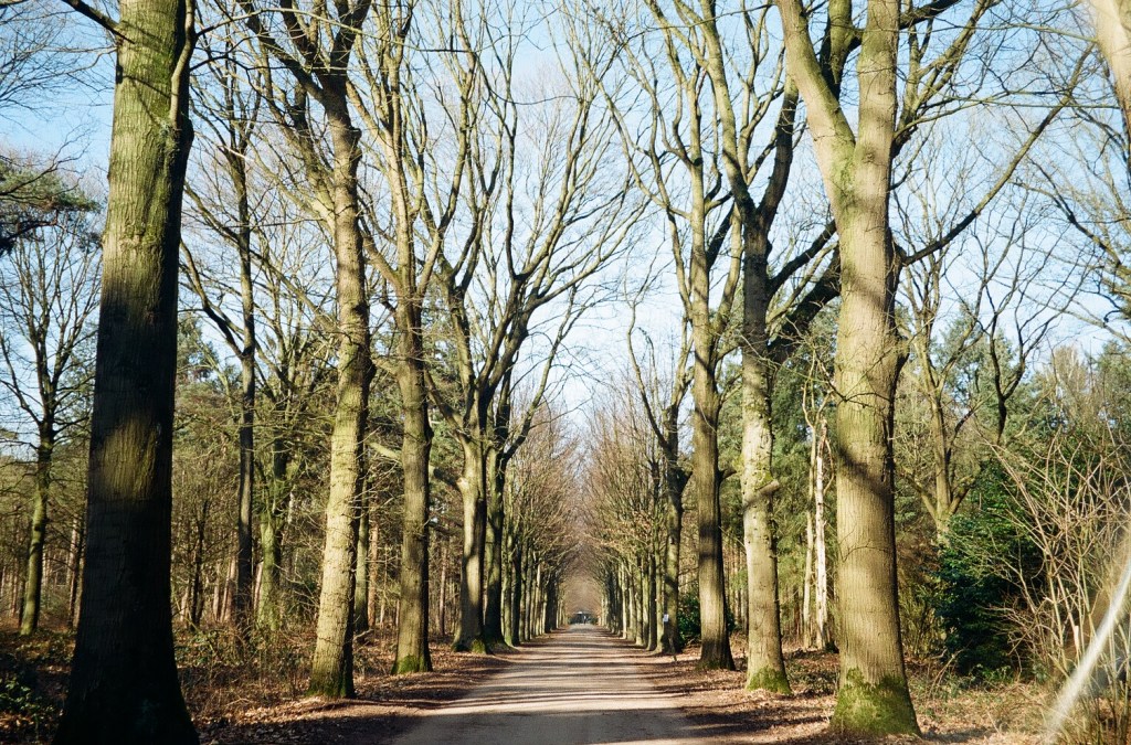Tilburg University, the&nbsp;Netherlands