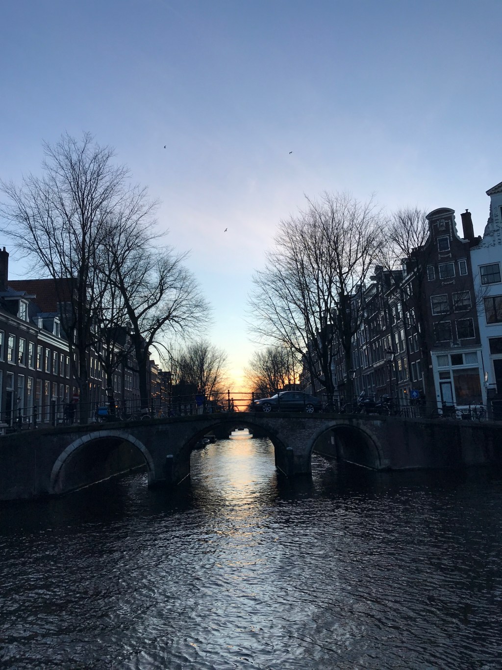 From Home to Holland – University of Amsterdam, the Netherlands