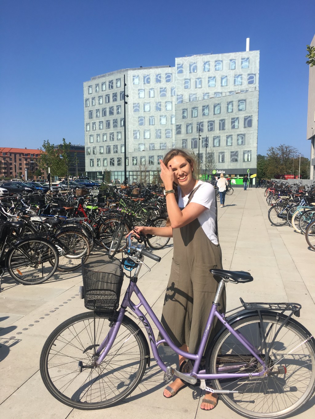 Exchange at the University of Copenhagen,&nbsp;Denmark﻿