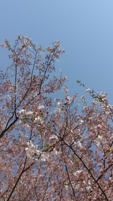 My Academic Life at Waseda&nbsp;University