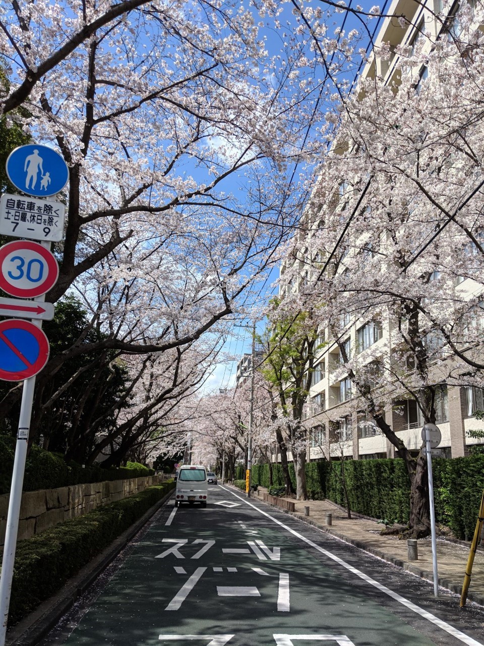 Sophia University, Japan