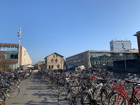 Copenhagen Business School,&nbsp;Denmark