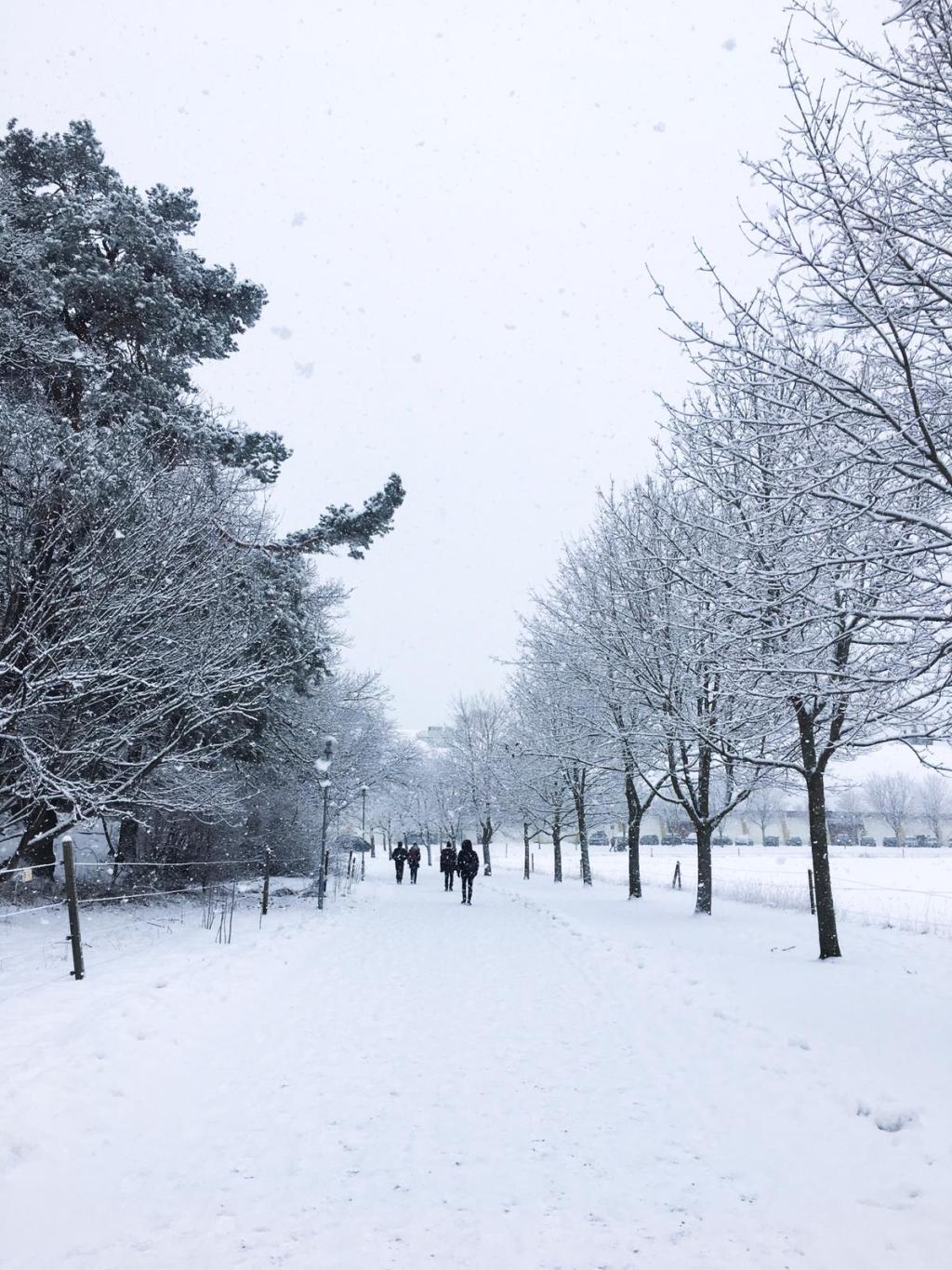 Stockholm University, Sweden