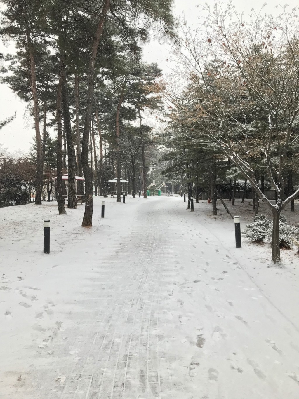 Korea University, South&nbsp;Korea