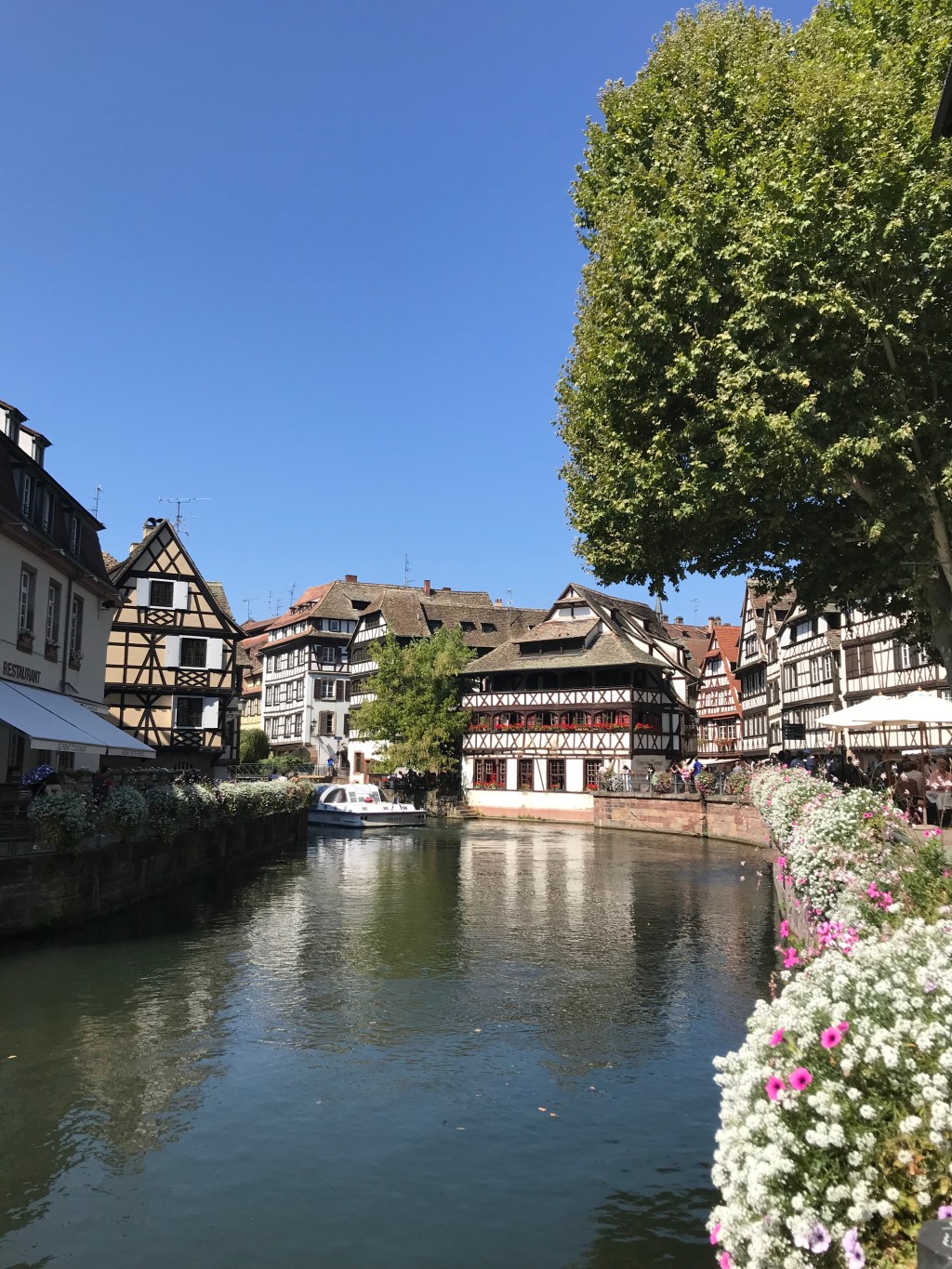 Salut from Strasbourg!