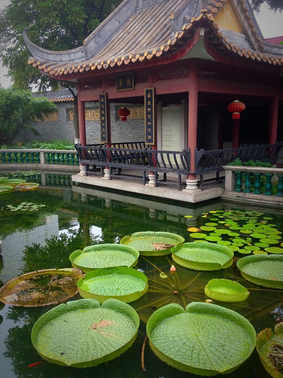 Sun Yat-Sen University Intensive Program